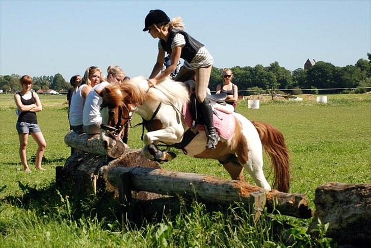 Pinto Rasmus - Søborggård ridelejr på EGE uge 26 2010!<3 billede 19