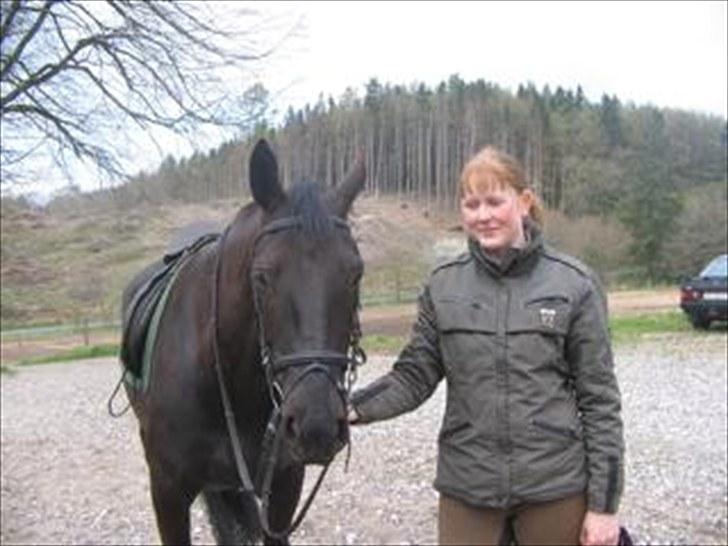 Anden særlig race Nairobi billede 19