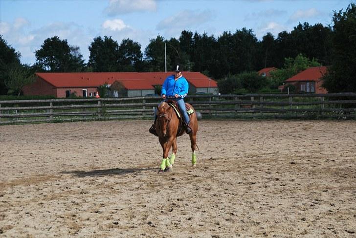 Paint Two Spot Ice - Wekkend clinic! billede 16