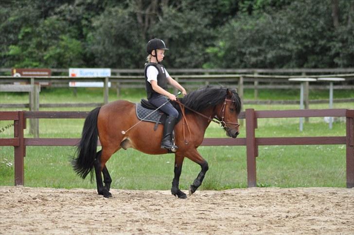 Anden særlig race Tyson<3* SOLGT <3* - <3 billede 15