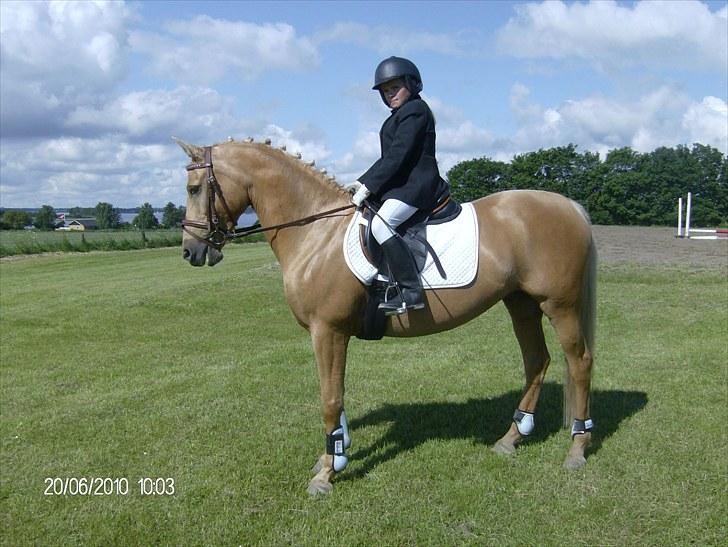 DSP katborgs lou lou billede 2