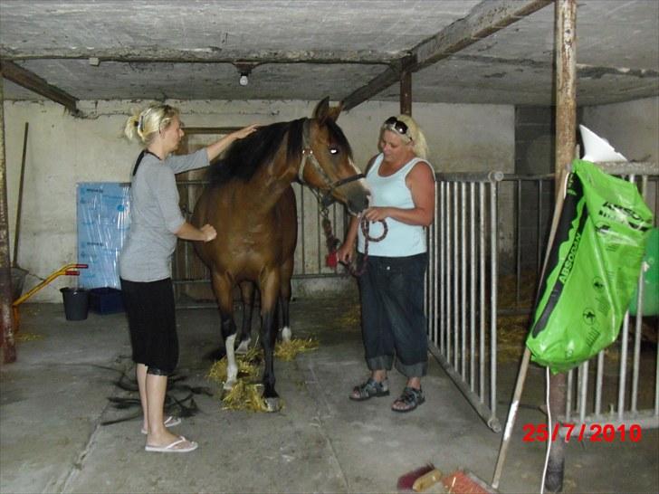 DSP Lakifa SDH 299 billede 3