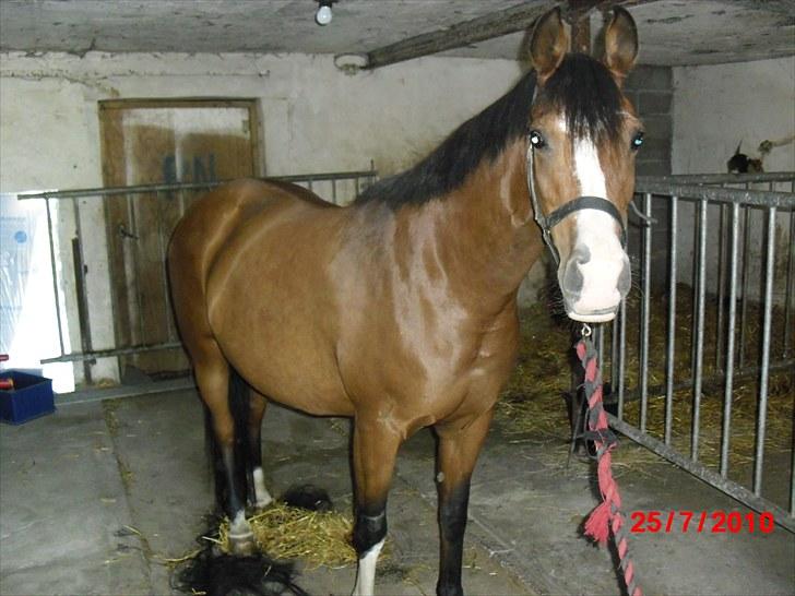 DSP Lakifa SDH 299 billede 5