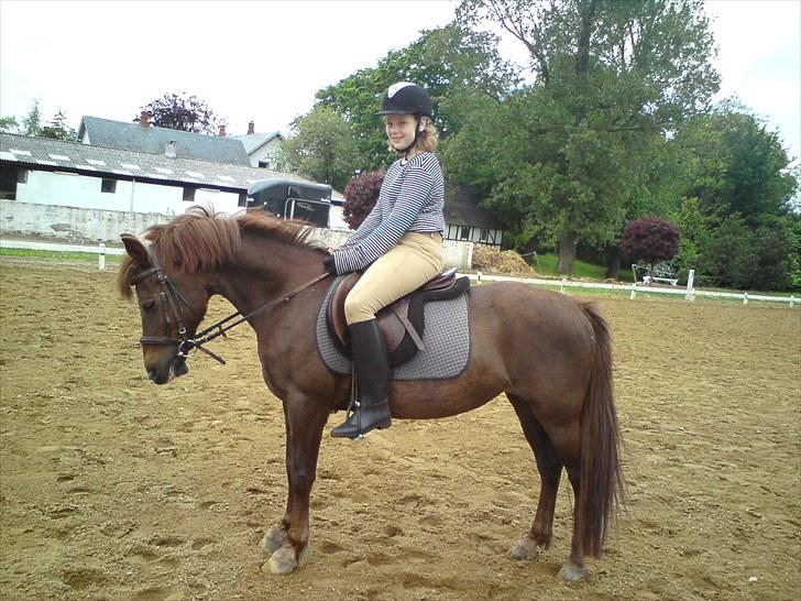 Anden særlig race Lady (Tidligere part) billede 4