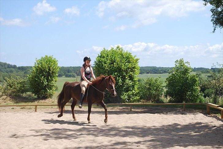 Anden særlig race Lady (Tidligere part) billede 9