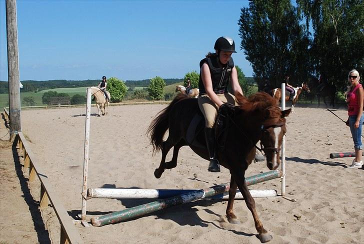 Anden særlig race Lady (Tidligere part) billede 10