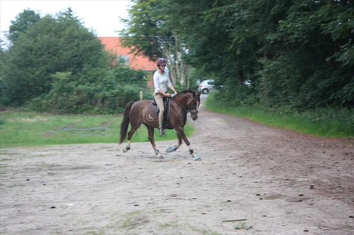 DSP Pajens Olivar - Juli 2010 - Olivar og jeg i Bagterp skov og ride dressur med Camilla & Aikido *S* billede 15