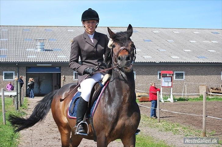 Hollandsk Sportspony Lm's Paturijn (krumme) billede 13