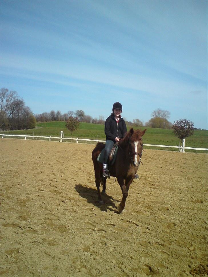 Anden særlig race Lady (Tidligere part) billede 14