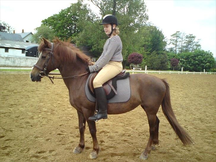 Anden særlig race Lady (Tidligere part) billede 16