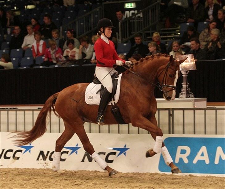 Dansk Varmblod Midtgaards Wienna - Wienna og Astrid til Unghestechampionat i Herning 2009 billede 17