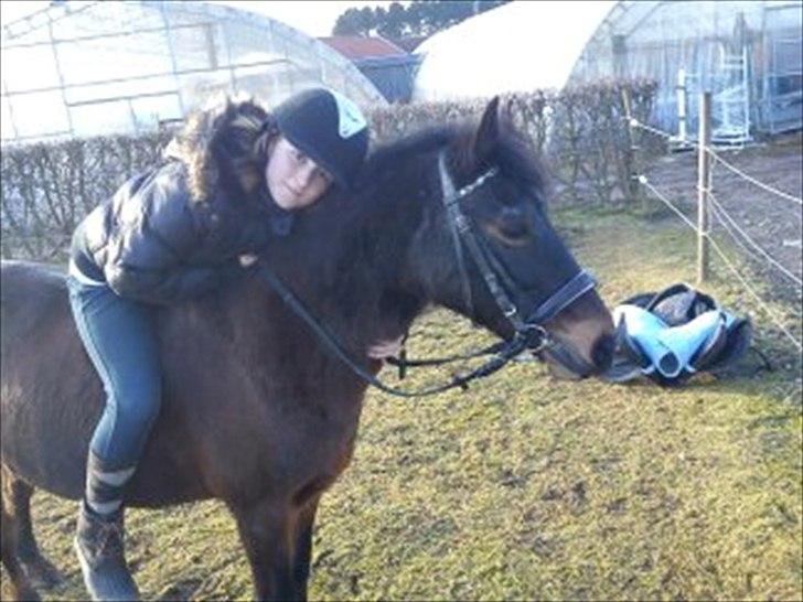 Anden særlig race Brune  [Savnet :'* ] - 4# billede 4