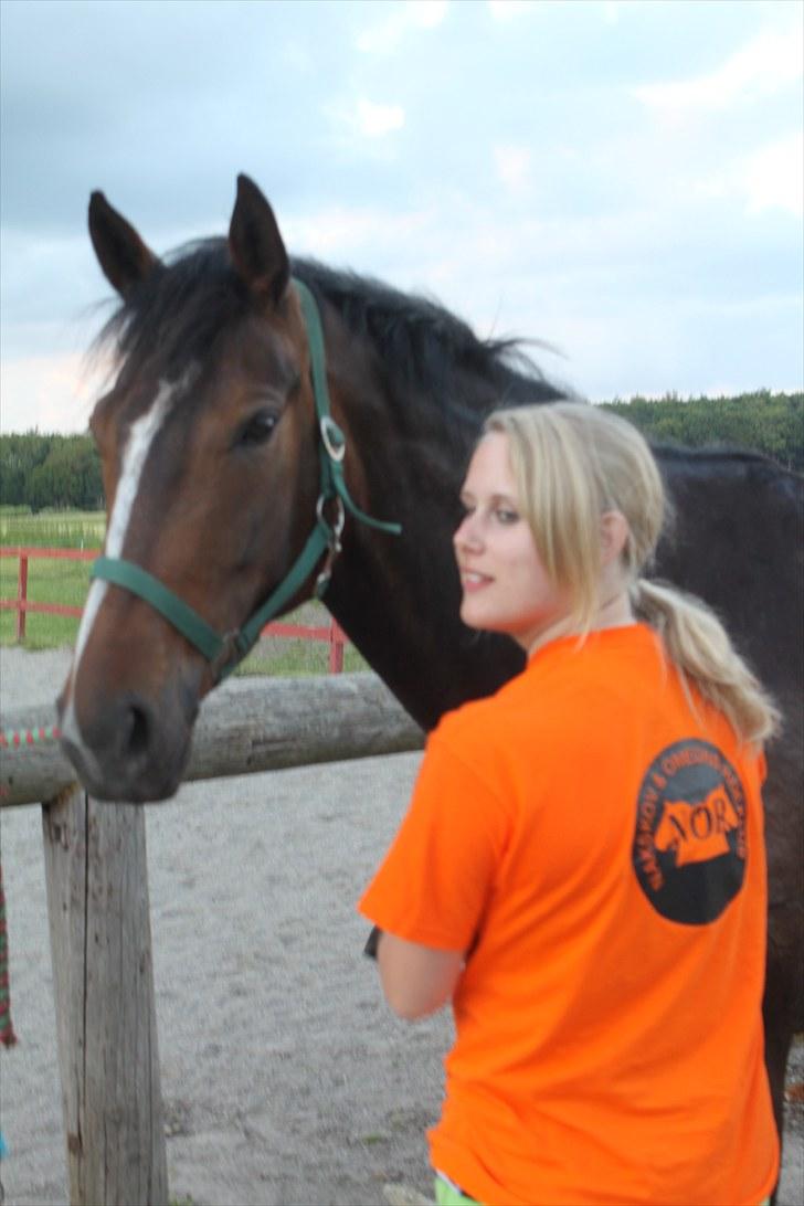 Anden særlig race Bøgedal's Fillipa billede 2