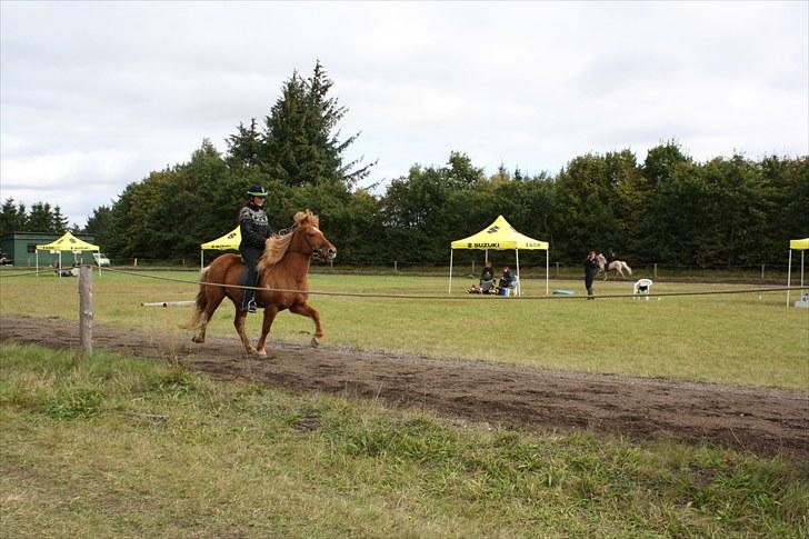 Islænder Freyja fra Akureyri - T.8 A-Finale d.19 september 2010 på Ganti banen billede 5