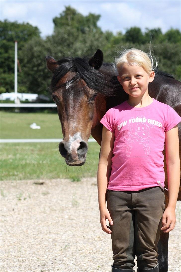 Anden særlig race bonnie billede 14