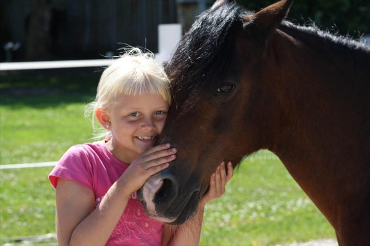 Anden særlig race bonnie billede 16