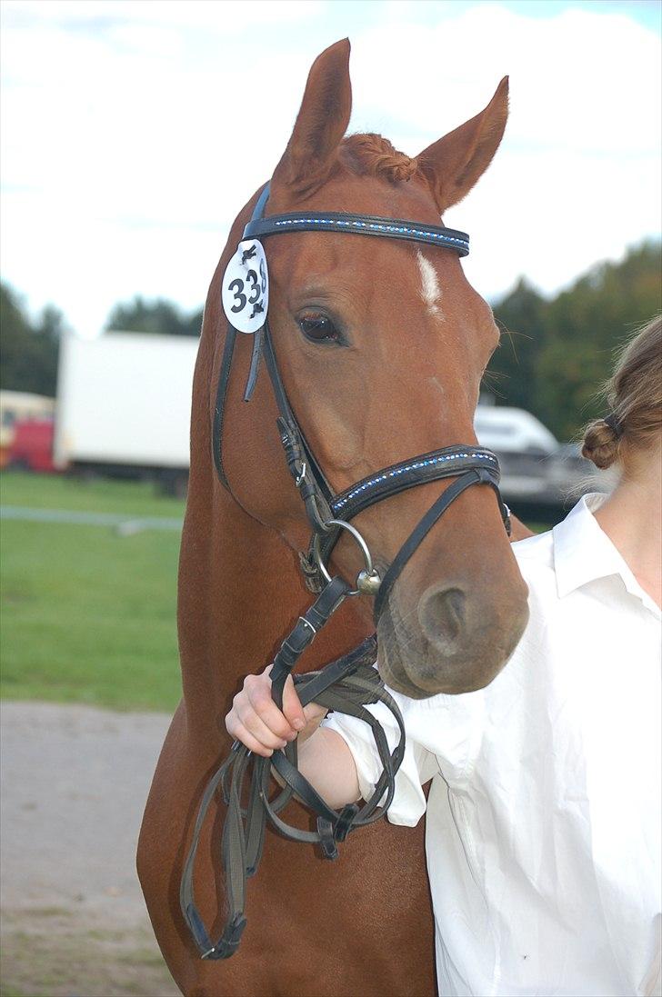 Anden særlig race Mon Cherie Solgt :'( billede 2