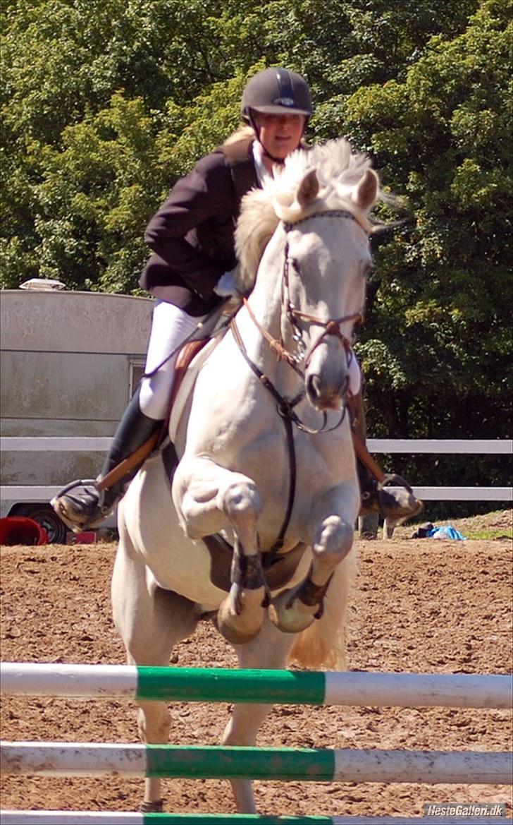 Anden særlig race May Day - VOSK sløjfespring 80 cm - vi red fejlfrit! billede 12