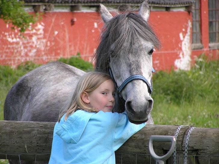 Anden særlig race  Stella<3 SOLGT  billede 2