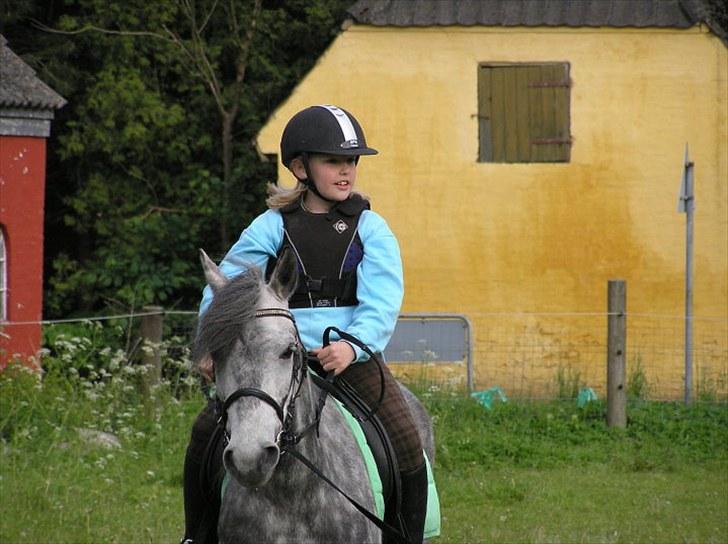 Anden særlig race  Stella<3 SOLGT  billede 3