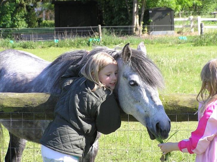 Anden særlig race  Stella<3 SOLGT  billede 11