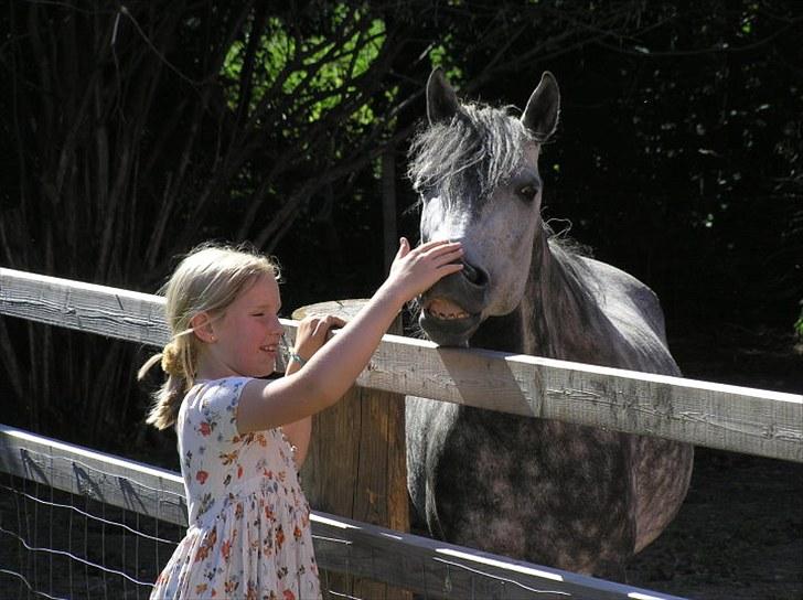 Anden særlig race  Stella<3 SOLGT  billede 12