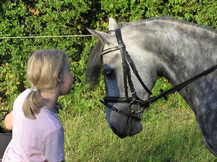 Anden særlig race  Stella<3 SOLGT  billede 14