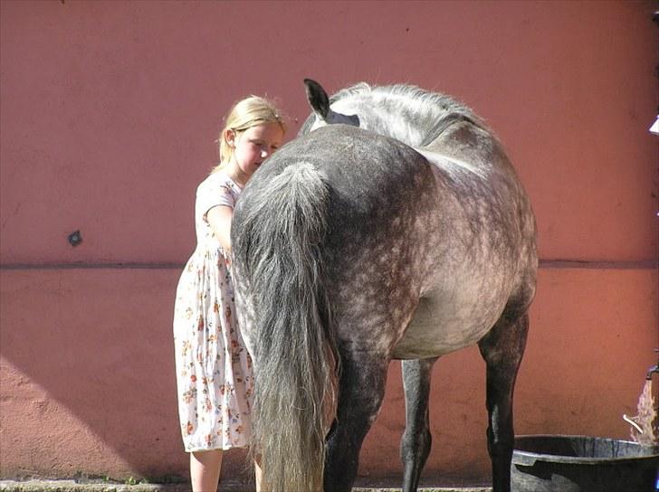 Anden særlig race  Stella<3 SOLGT  billede 15