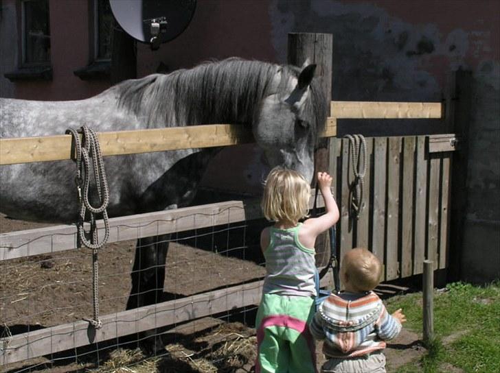 Anden særlig race  Stella<3 SOLGT  billede 17