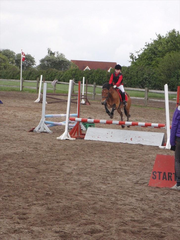 Anden særlig race Dolly Girl <3 billede 9