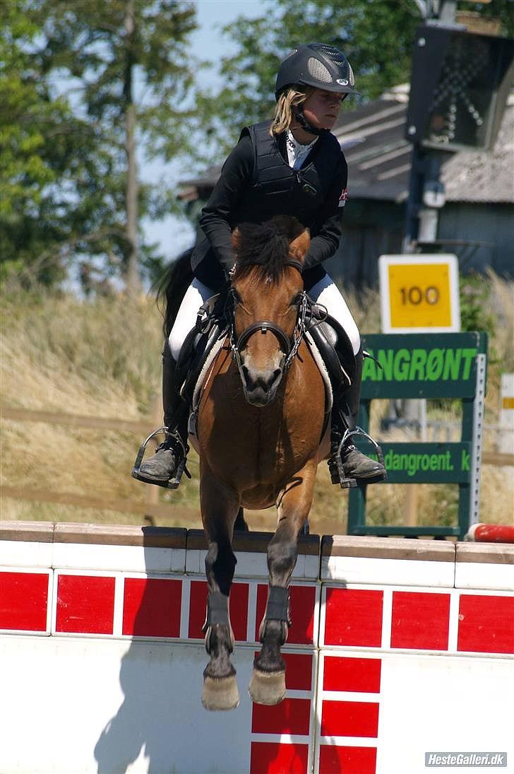 Anden særlig race Dolly Girl <3 - Dolly Girl med gamle ejer  billede 10