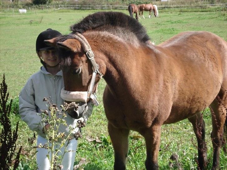 Anden særlig race Dolly Girl <3 - jeg Elsker den Pony <3. I You <3 ja du er min :-) Foto/mor billede 11