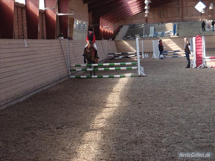 Anden særlig race Dolly Girl <3 billede 13