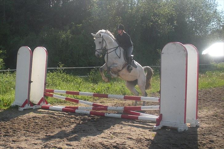 Holstener Katrinebjergs Sonate - Velkommen til Sonate´s profil! <3 billede 1