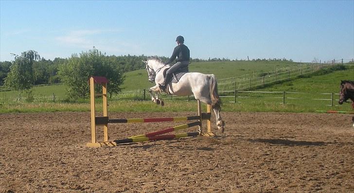 Holstener Katrinebjergs Sonate - Ikke andet end et bevis på at hun springer en ud af sadlen. billede 4