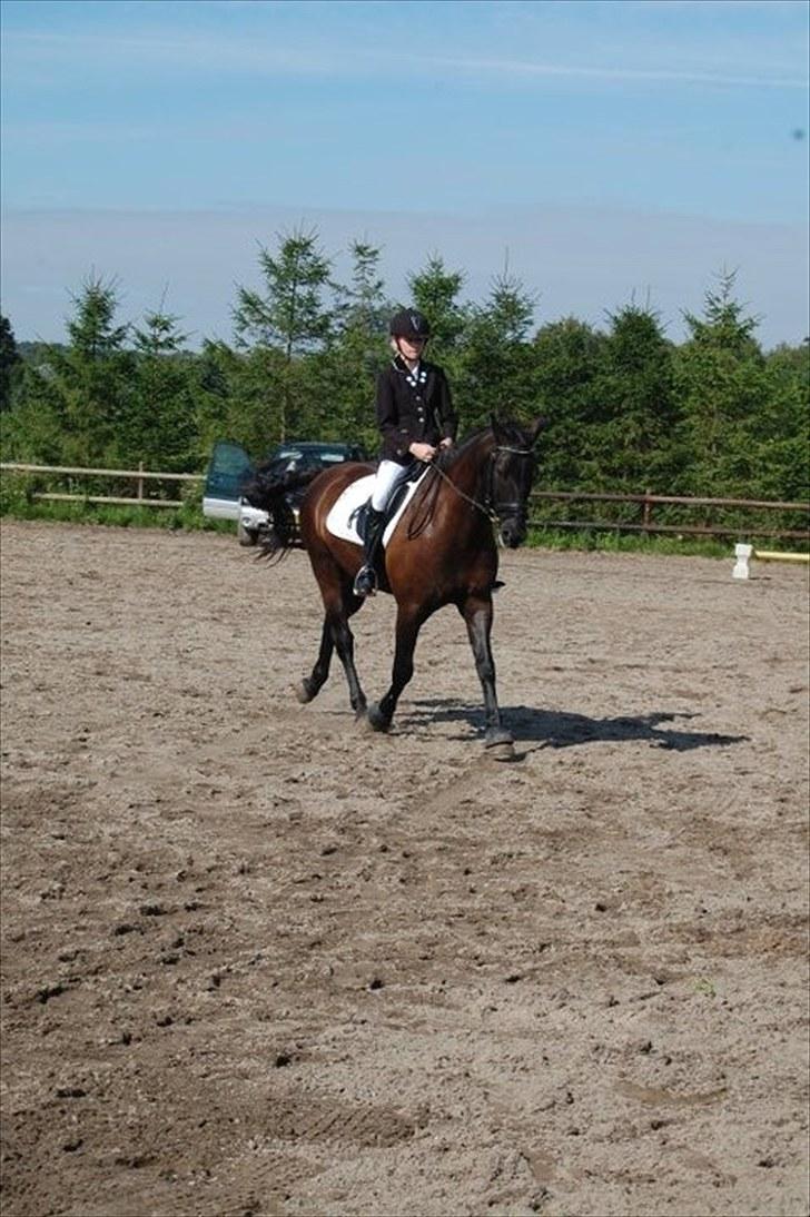 Anden særlig race | CHOPIN. - Klubstævnet. Nr. 2 :D KM-Foto billede 9