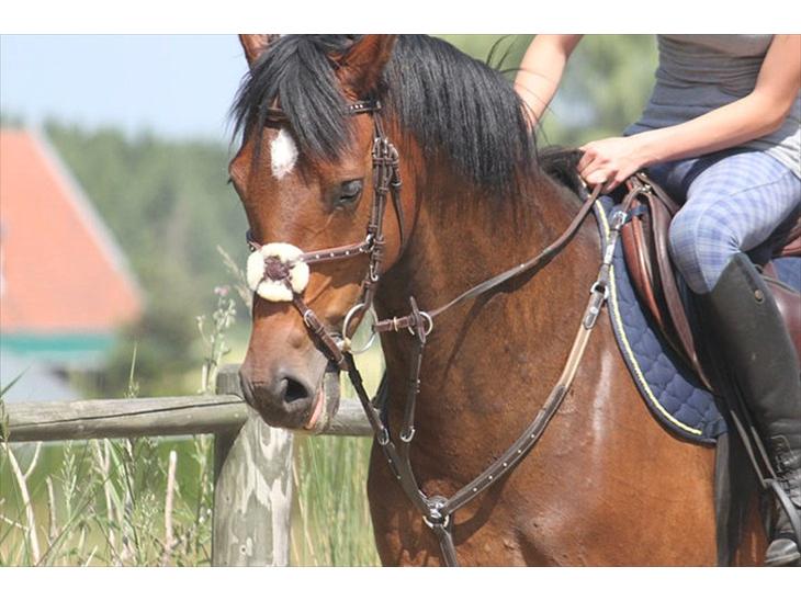 {{currentPhoto.altText}} billede {{currentPhoto.number}}