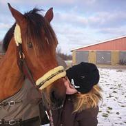 Anden særlig race Playboy<3 solgt! :'(