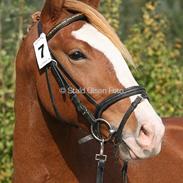 Frederiksborg Marco Ålbækkegård