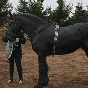 Frieser Catharina Fan´t Emsland