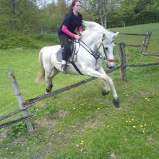 Anden særlig race shadow