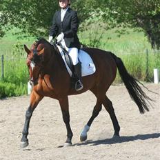 Oldenborg Fie <33 †