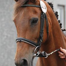 DSP <3 Freja. *I HIMLEN*