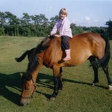 Anden særlig race **Fru Nielsen** (SOLGT)