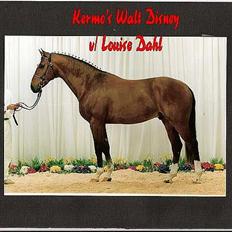 Dansk Varmblod Kermos Walt DisneyDVH 716