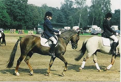 Anden særlig race Rosty Don - opvarning til sjælandsmesterskab 2001 billede 12