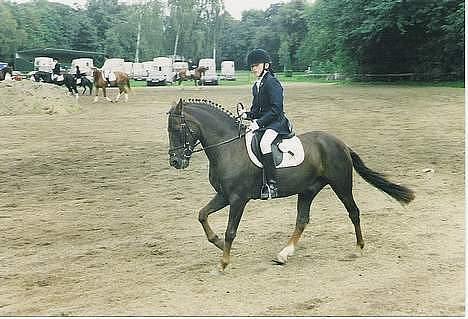 Anden særlig race Rosty Don - opvarning til sjælandsmesterskab 2001 billede 13