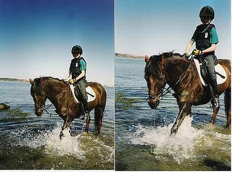 Anden særlig race Rosty Don - lige et smut i vandet billede 14