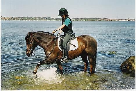 Anden særlig race Rosty Don - det er så sjovt at plaske billede 15