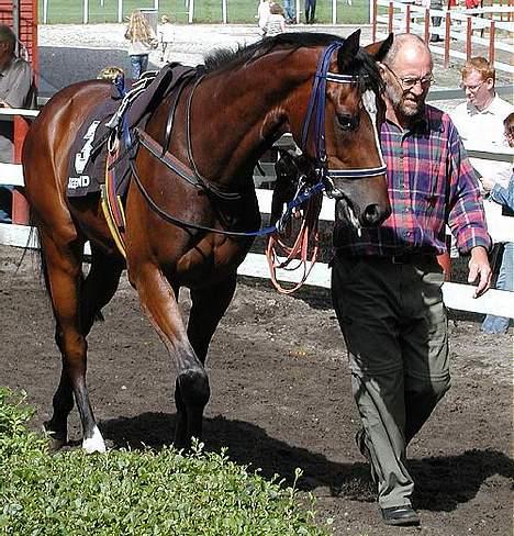 Fuldblod (XX) ~Bolsjoj~ billede 14